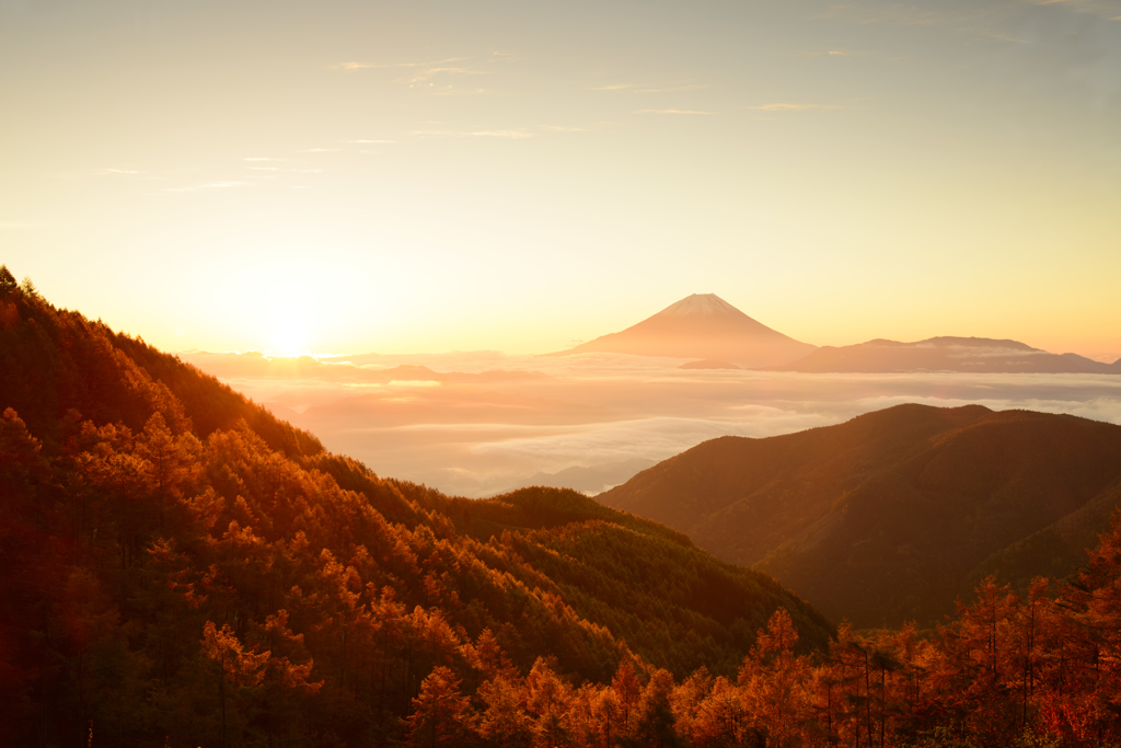 紅陽の朝