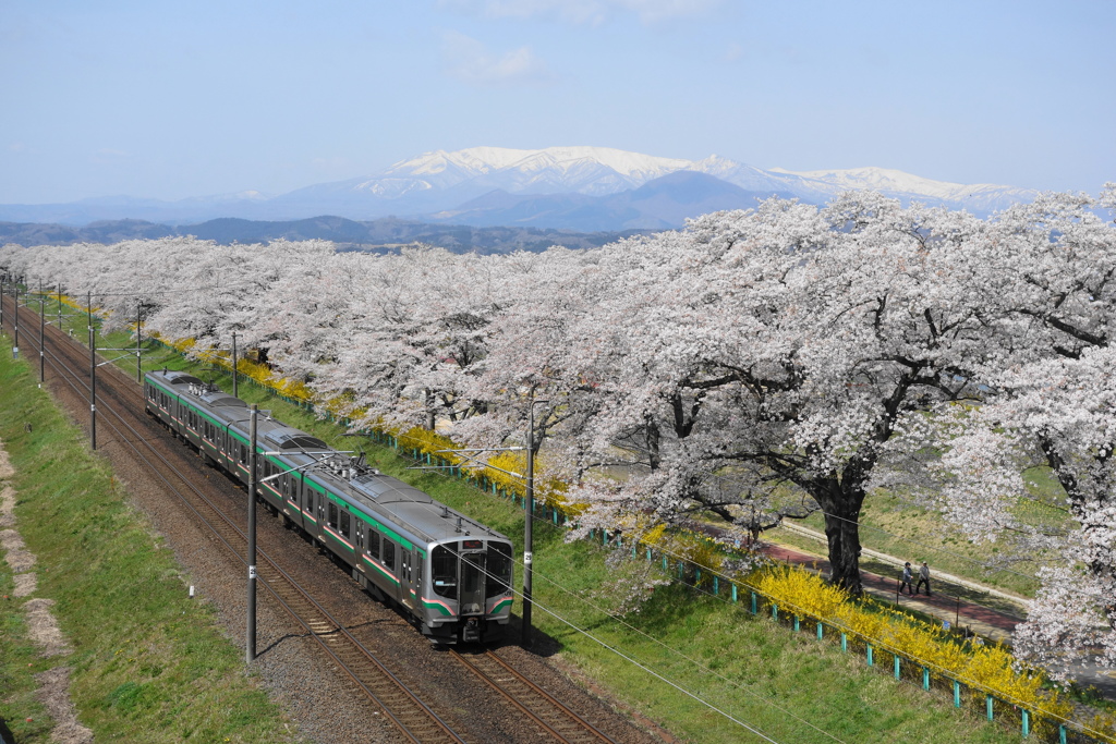 白石川堤一目千本桜と東北本線