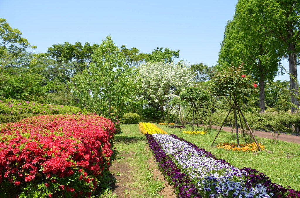 公園