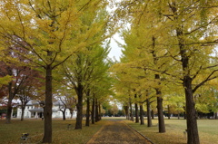 茨城県立歴史館