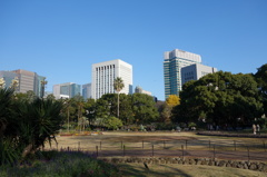日比谷公園より