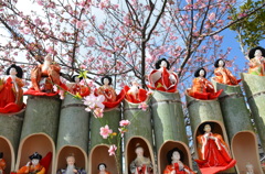 ひな祭りと河津桜