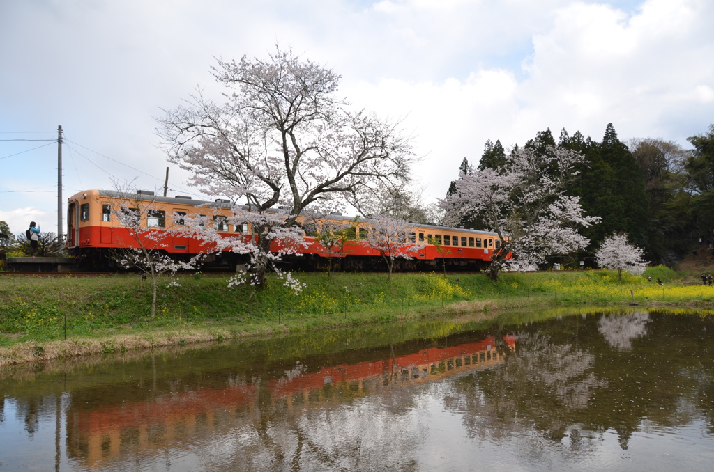小湊鉄道　飯給駅発車