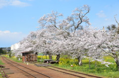 小湊鉄道　高滝駅