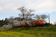 小湊鉄道　　飯給駅停車