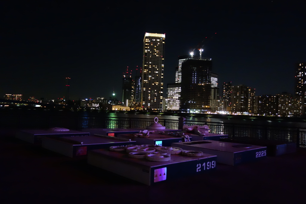 豊洲夜景
