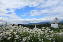 美瑛の空