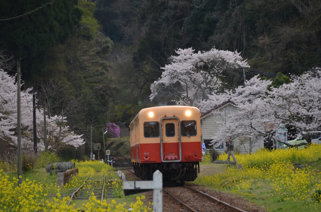 小湊鉄道　月崎駅発車