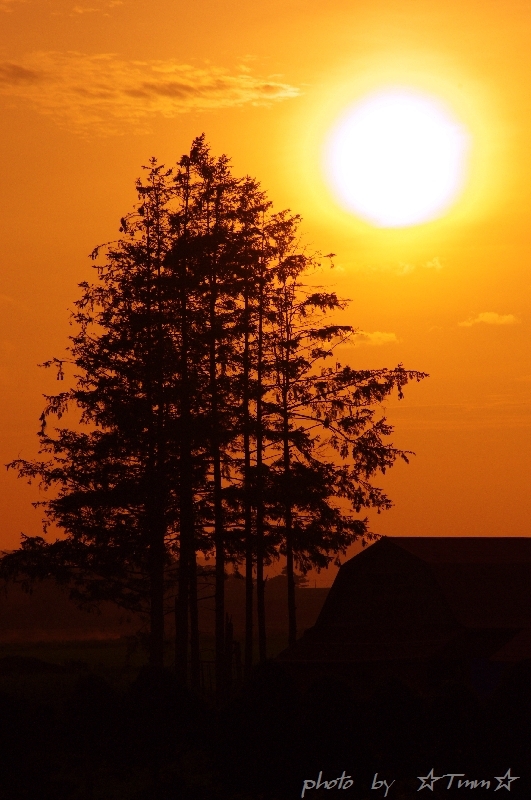 o0531080012118835550