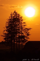 o0531080012118835550