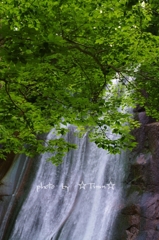 o0531080012102846623