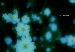 o0800055412318986755