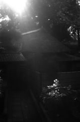 光芒