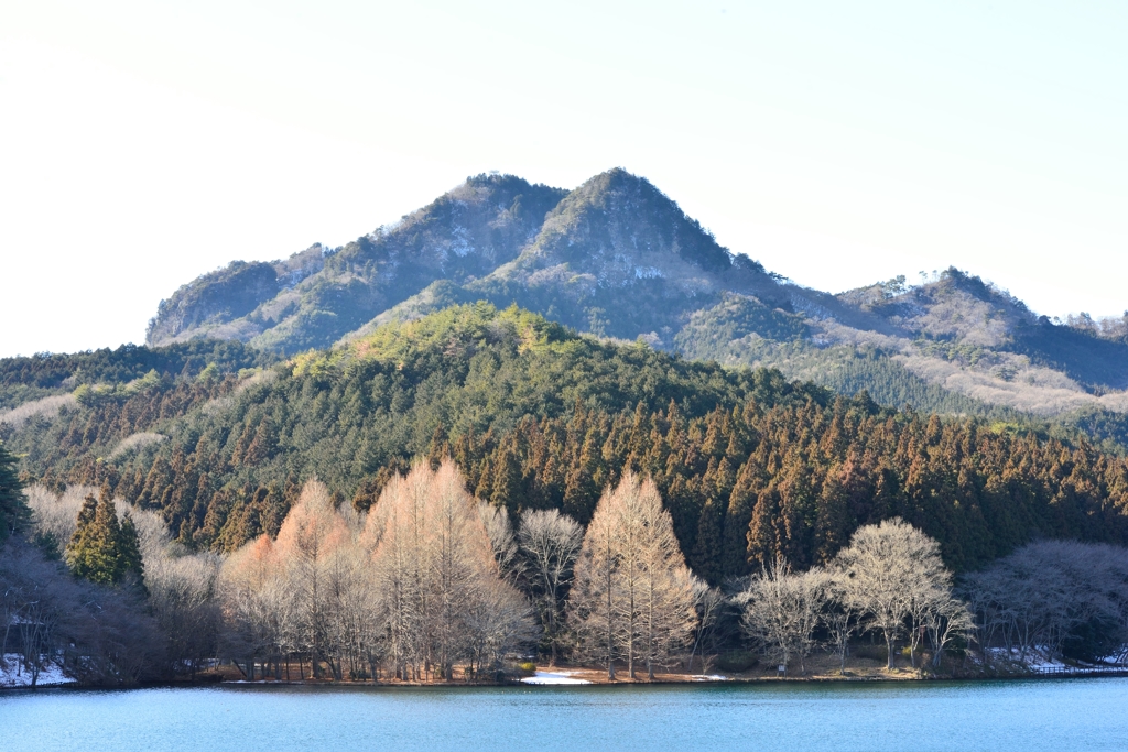 背の高い湖