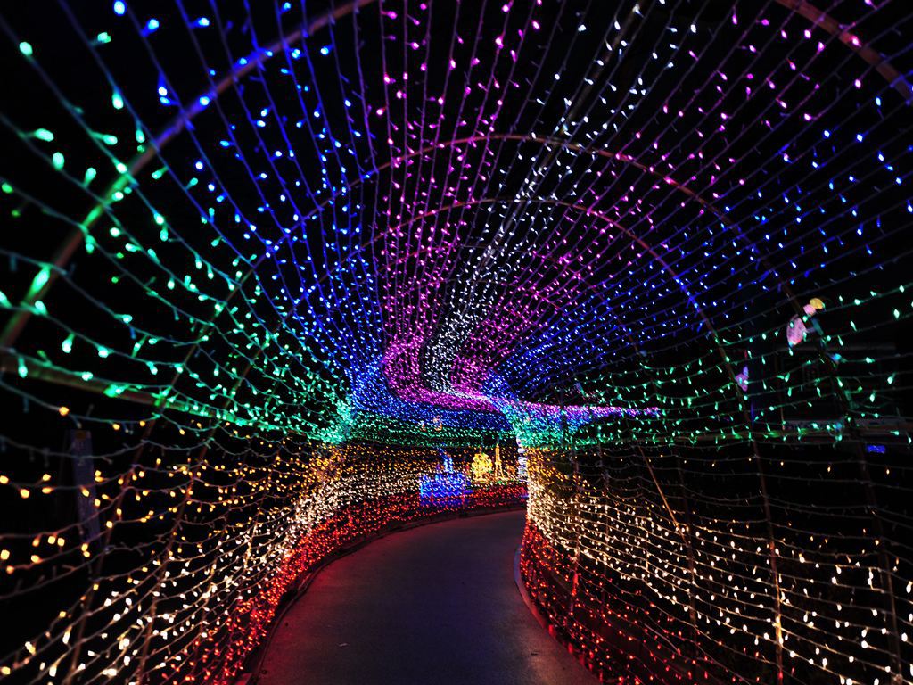 宇部市常盤公園