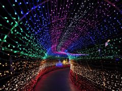 宇部市常盤公園