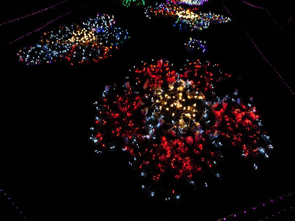 宇部市常盤公園