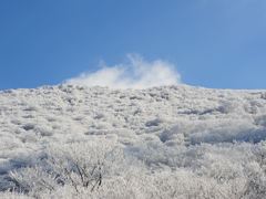 大分県くじゅう牧ノ戸峠