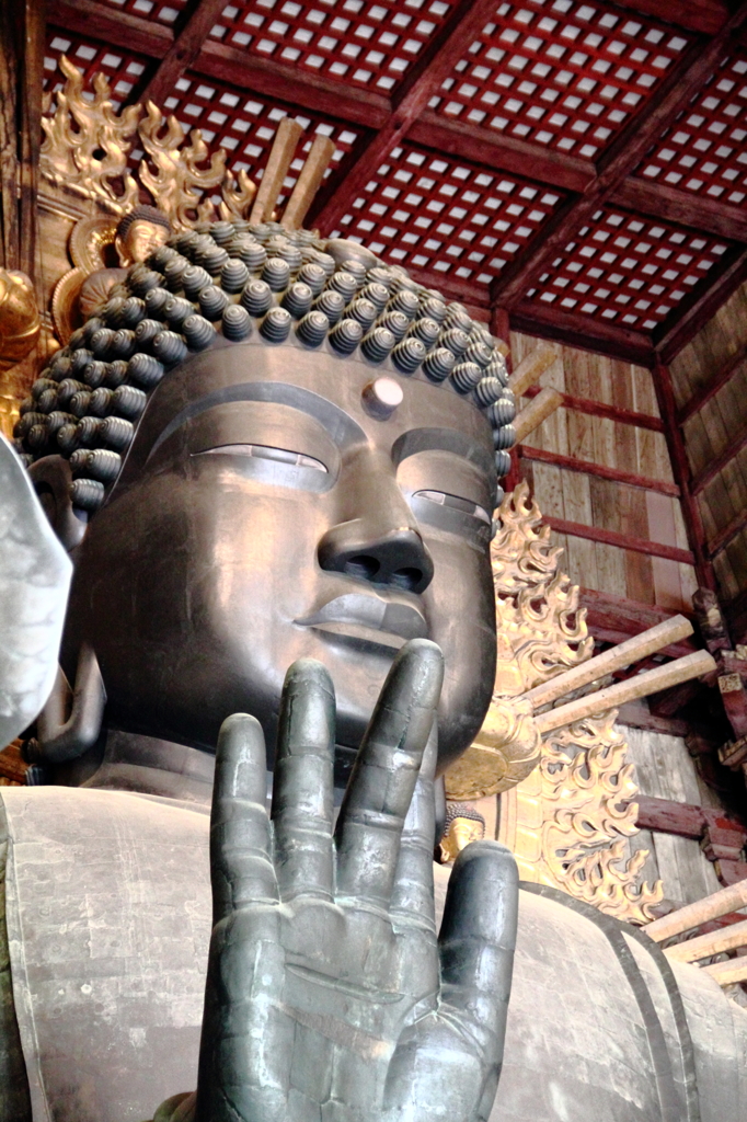 大仏様