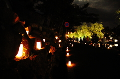 奈良燈花会４