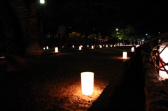 奈良燈花会３