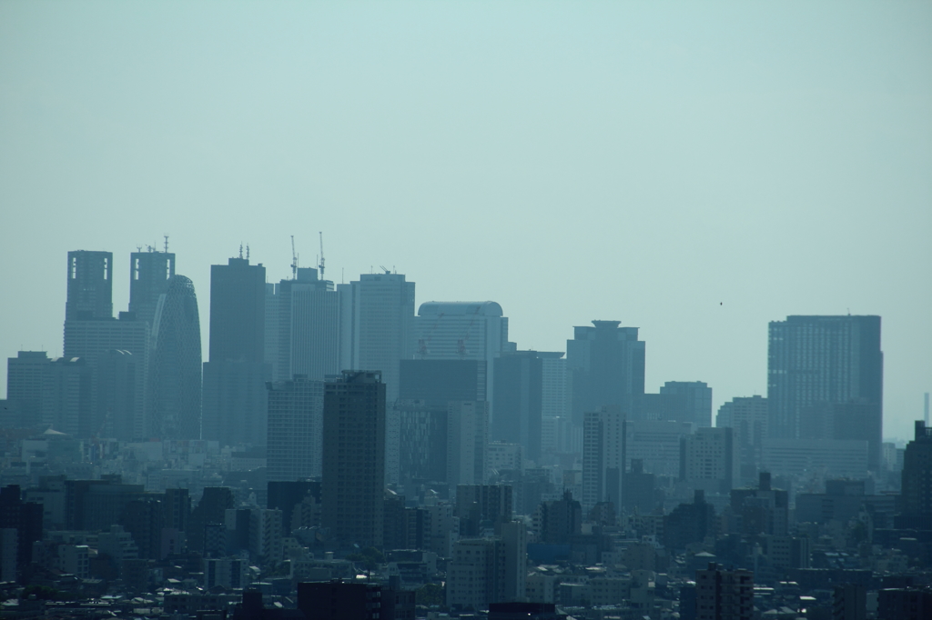 新宿ビル群