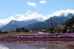 とある風景