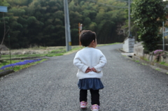 お散歩
