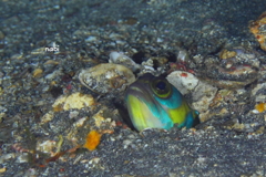 20120708101310