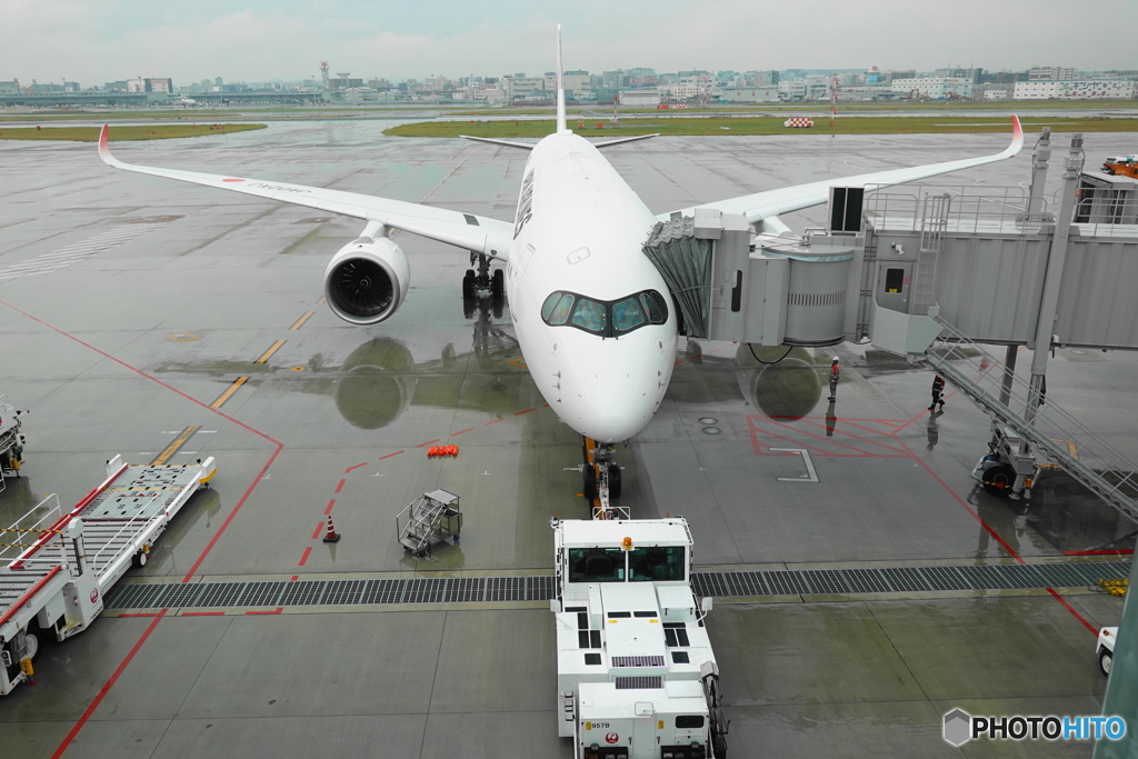 羽田空港　スポット１１　JAL303