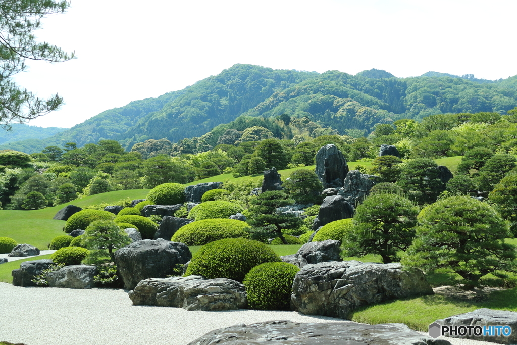 枯山水庭