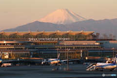 羽田空港の朝