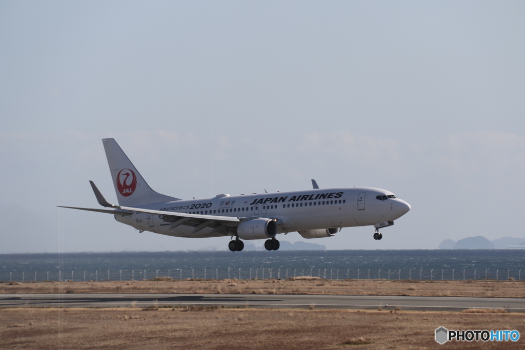 徳島空港　ＪＡＬ４５９