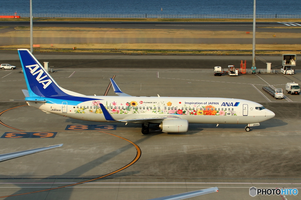 FLOWER JET
