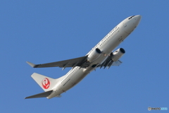 日本航空　７３７