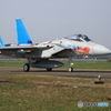 305飛行隊