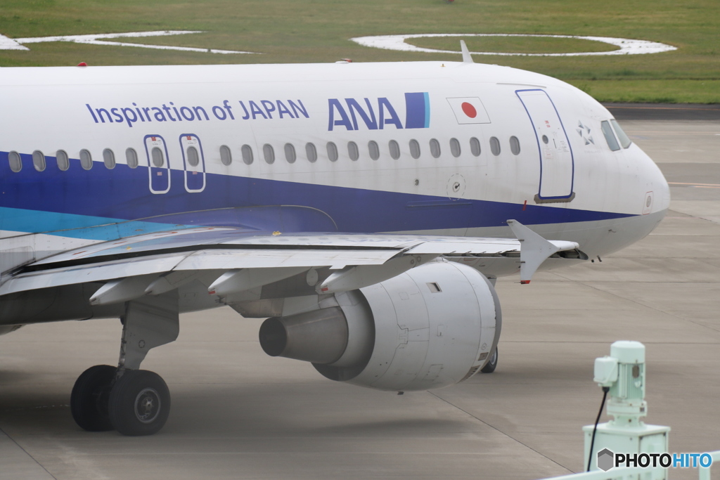 高知空港　ＡＮＡ　Ａ３２０