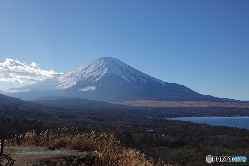 パノラマ台