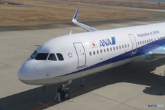 徳島空港　全日空　A321　ANA283