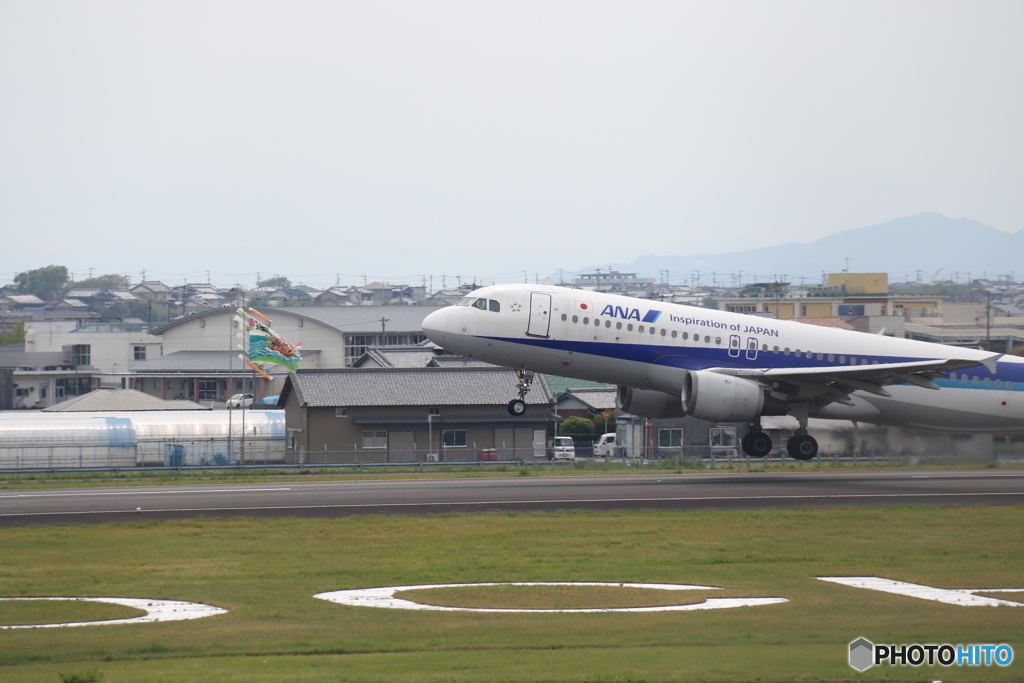 高知空港　Ａ３２０と鯉のぼり