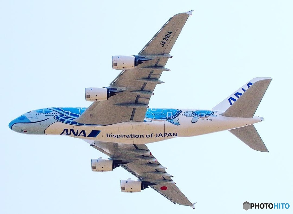 A380 ホヌ