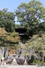 石山寺　①