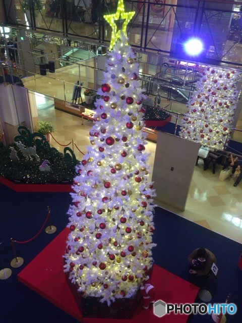 クリスマスツリーとミニサンタ