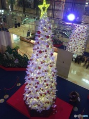 クリスマスツリーとミニサンタ