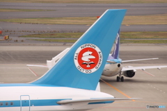 ALL NIPPON AIRWAYS ロゴ