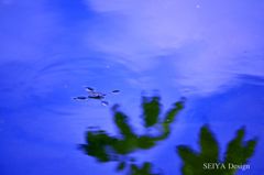 空散歩