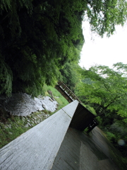 IMG_8819
