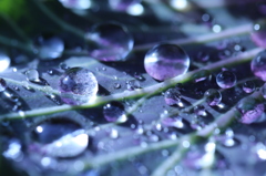 雨の跡