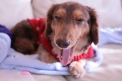 ねみーzzz