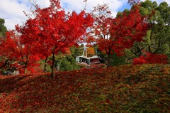 ロープーウエイと紅葉